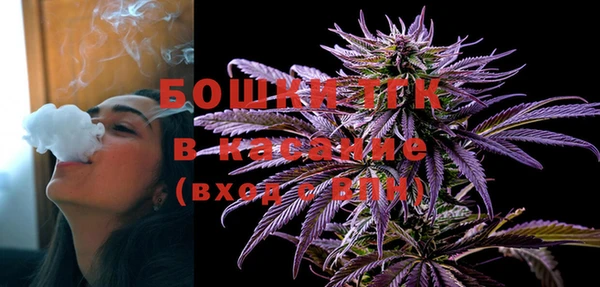молекула духа Белокуриха