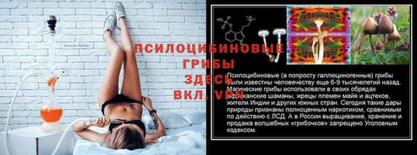 молекула духа Белокуриха