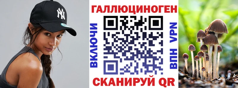 Псилоцибиновые грибы Cubensis Кызыл