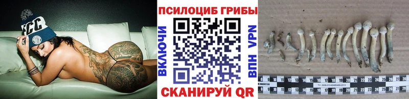 Купить  Кызыл  Галлюциногенные грибы Cubensis 