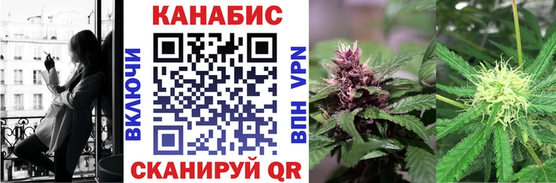 Бошки Шишки ГИДРОПОН Кызыл
